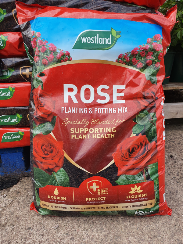 Rose Planting & Potting 60l