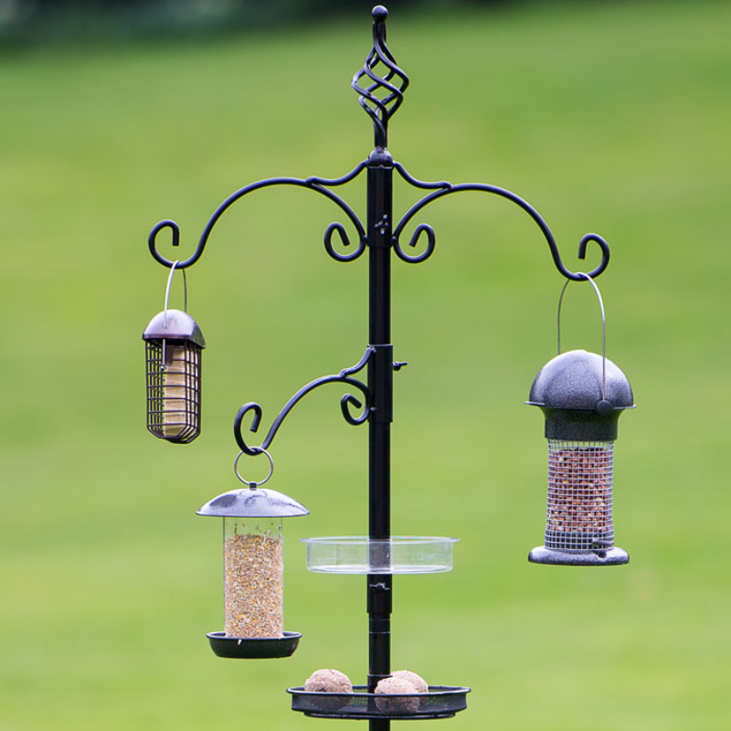 Birds Bird & Wildlife Care Feeders Tom Chambers Grand Bird Station tagumdoctors.edu.ph