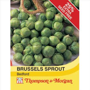 Brussels Sprout Bedford