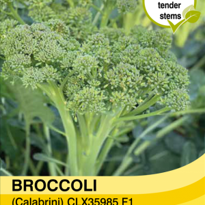 Broccoli calebrini