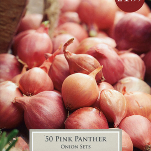 Onion Pink Panther