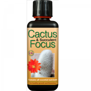 Cactus Focus  300ml