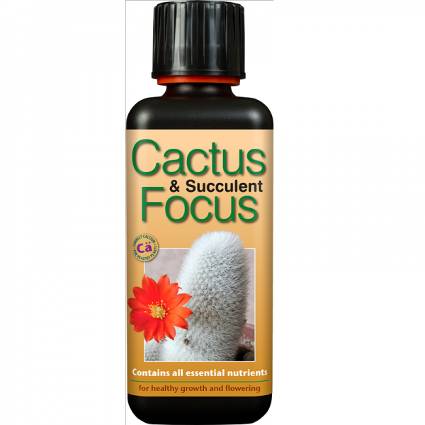 Cactus Focus  300ml