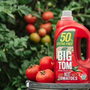 Westland BIG TOM Super Tomato Food 1.25L + 50%