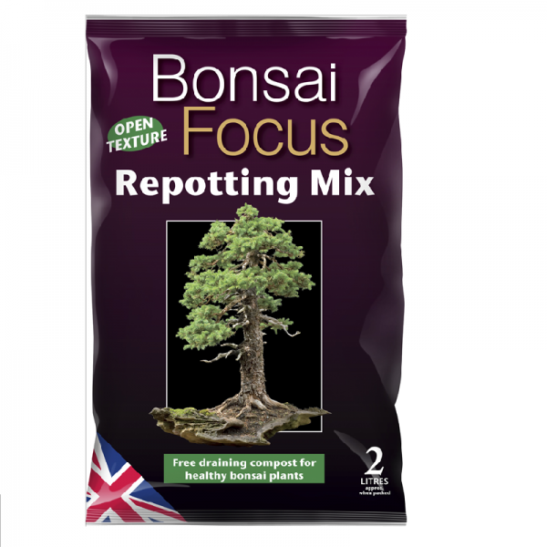Bonsai Focus Pot Mix 2l