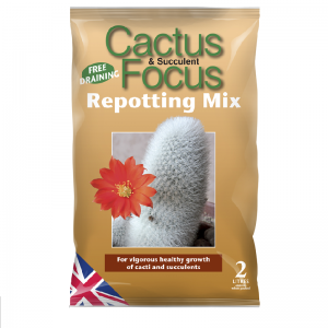 Cactus Repotting Mix 2lt
