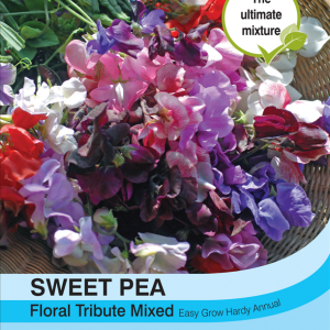 Sweet Pea Floral Tribute Mixed