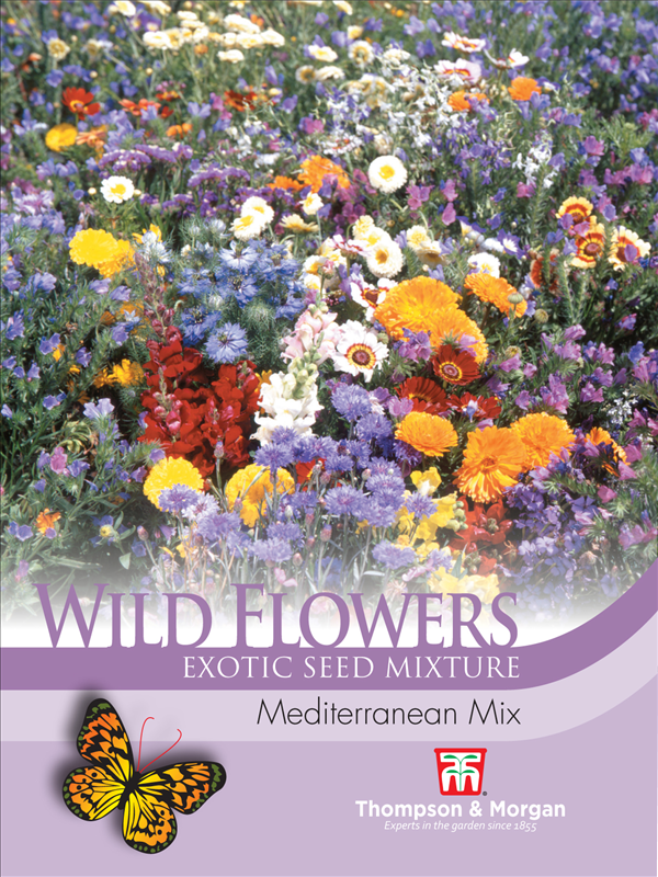 Wild Flower Mediterranean Mix