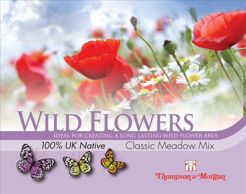 Wild Flower Classic Meadow