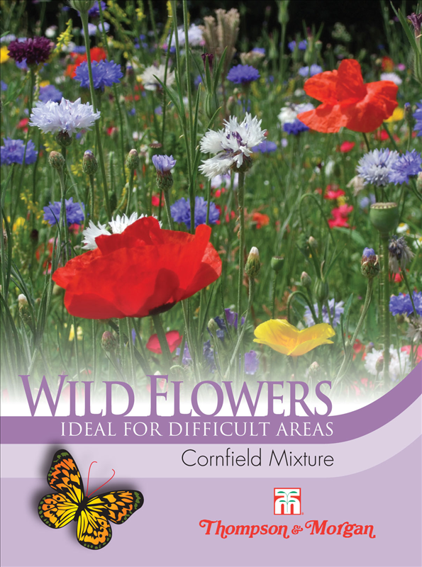 Wild Flower Cornfield Mixture