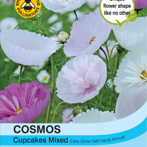 Cosmos Cupcakes - Mixed