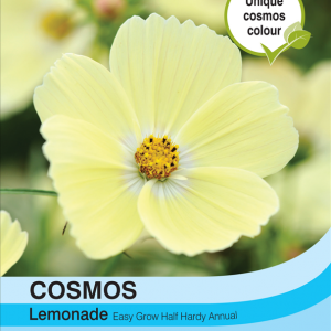 Cosmos Lemonade