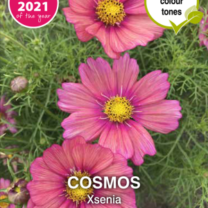 Cosmos Xsenia