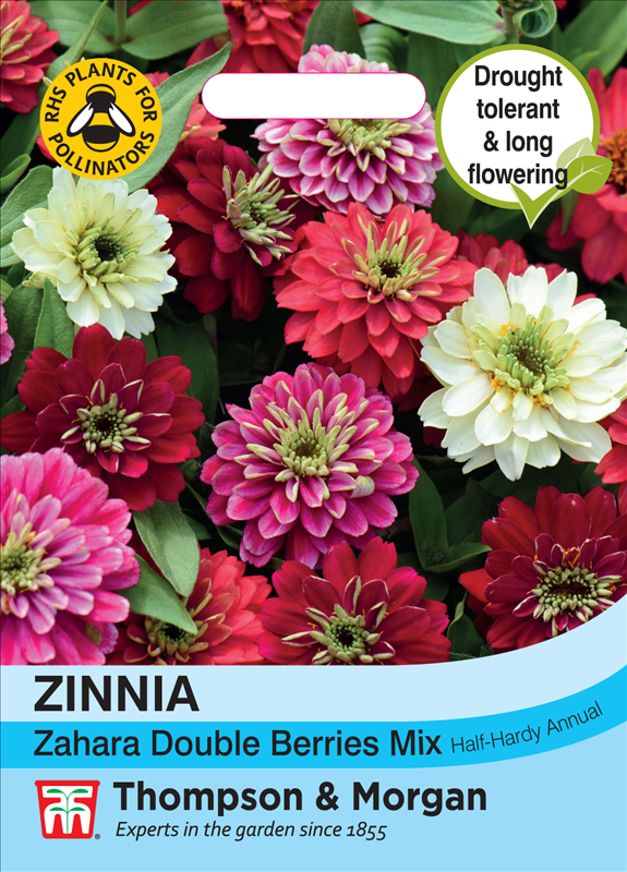 Zinnia Zahara Double Berries Mix