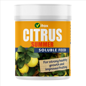 Citrus Feed - Summer 200g