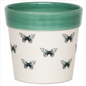 Cacti Planter Butterfly 10cm