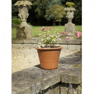 Harrogate Pot Small