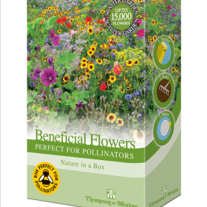 Flowers Perfect for Pollinators