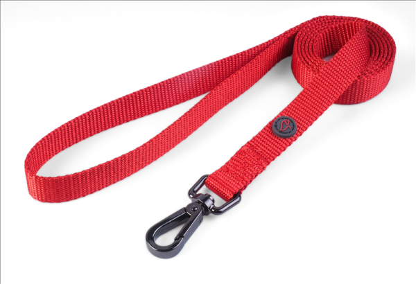WalkAbout Red Dog Lead - Standard