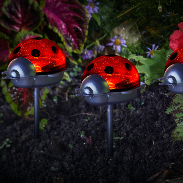 Ladybirds -LED  Triple Pack