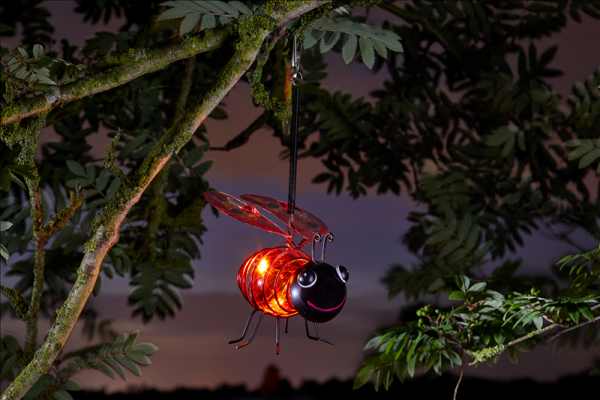 Bug Light - Ladybird LED