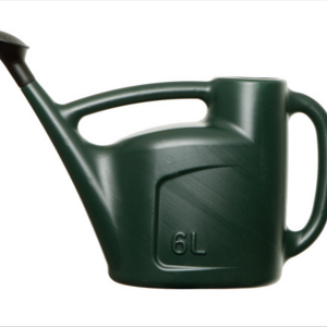 6L Watering Can Green