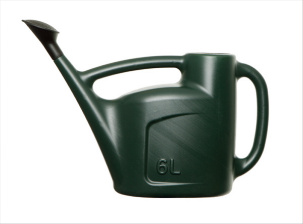 6L Watering Can Green