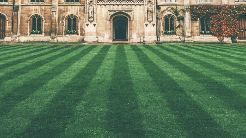 Lawn Care Tips for Luscious Lawns Iron Acton Garden Centre