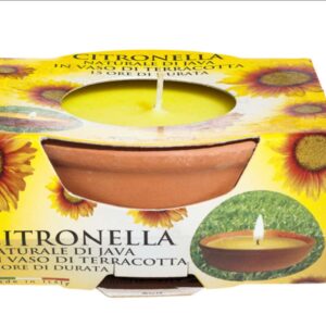 Citronella Small Terracotta Pot