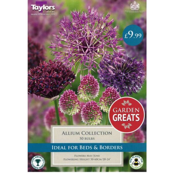 Allium Collection 50 Bulbs