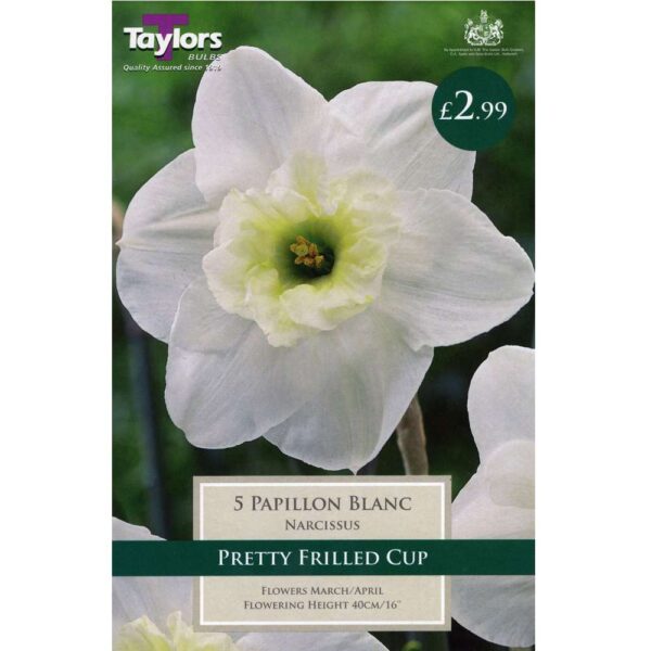 Narcissus Papillon Blanc 5 Bulbs