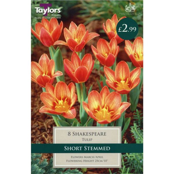Tulip Shakespeare 8 Bulbs