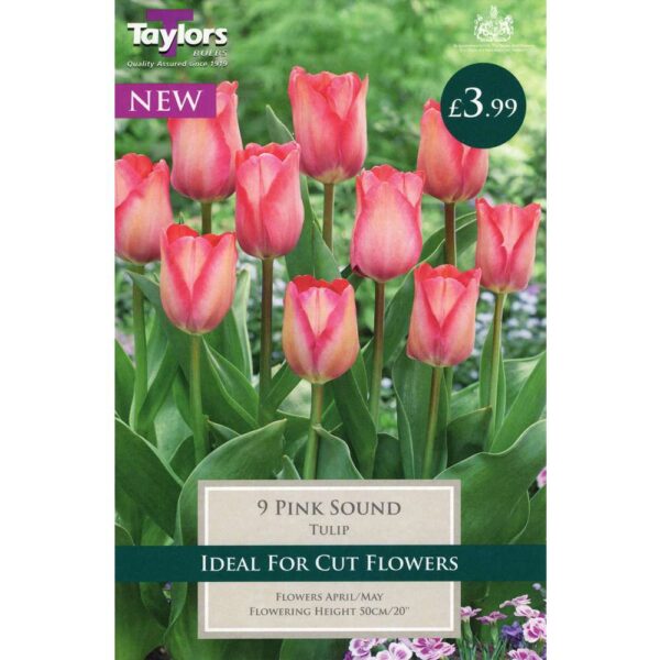 Tulip Pink Sound 9 Bulbs