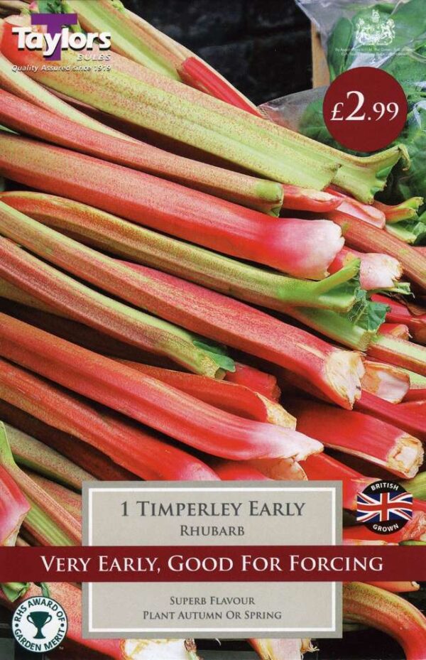 1 Rhubarb Timperley Early