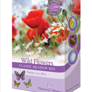 wildflower meadow seeds