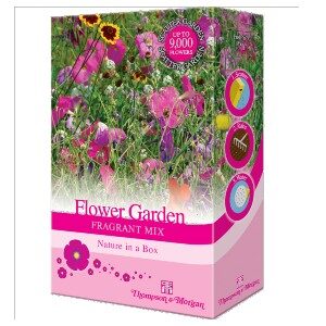 wildflower seeds