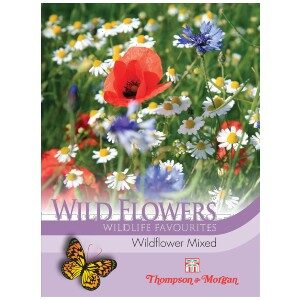 wildflower seeds