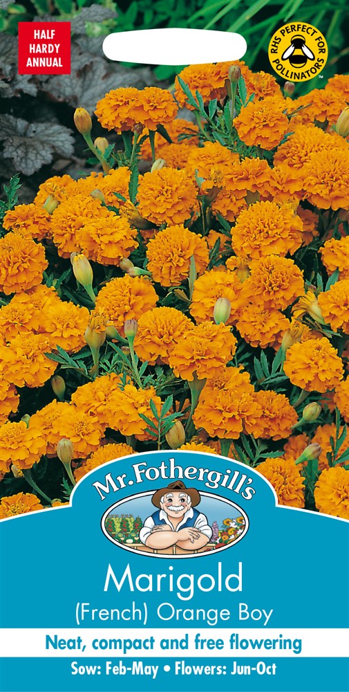 Marigold French Orange