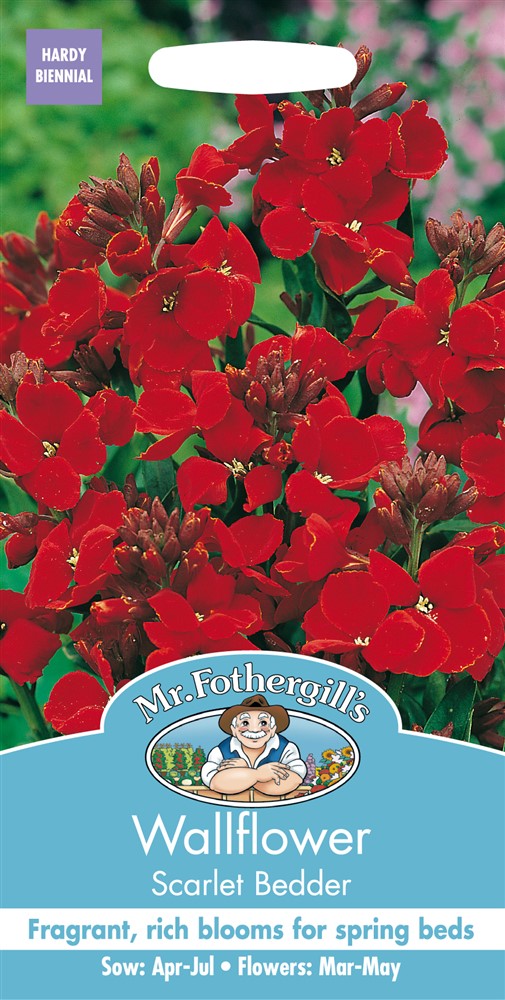 Wallflower Scarlet Bedde