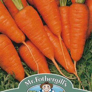 Carrot Burpees Short 'N'