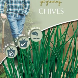 DD Chives