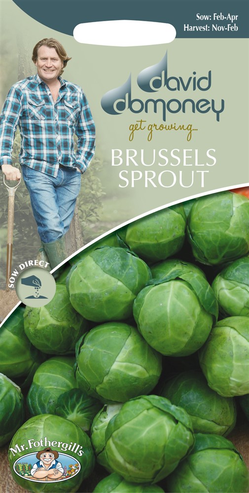 DD Sprouts