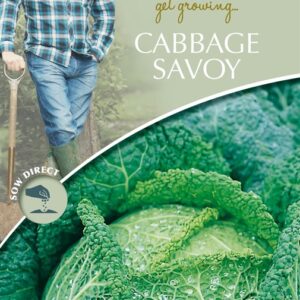 DD Cabbage Savoy