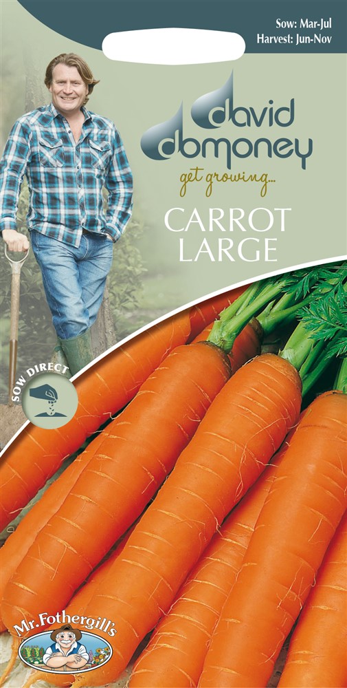 DD Carrot Large