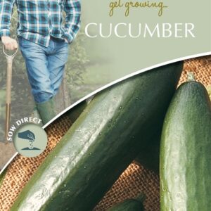 DD Cucumber