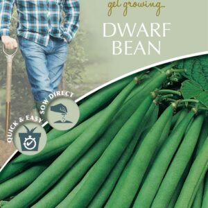DD Dwarf Bean