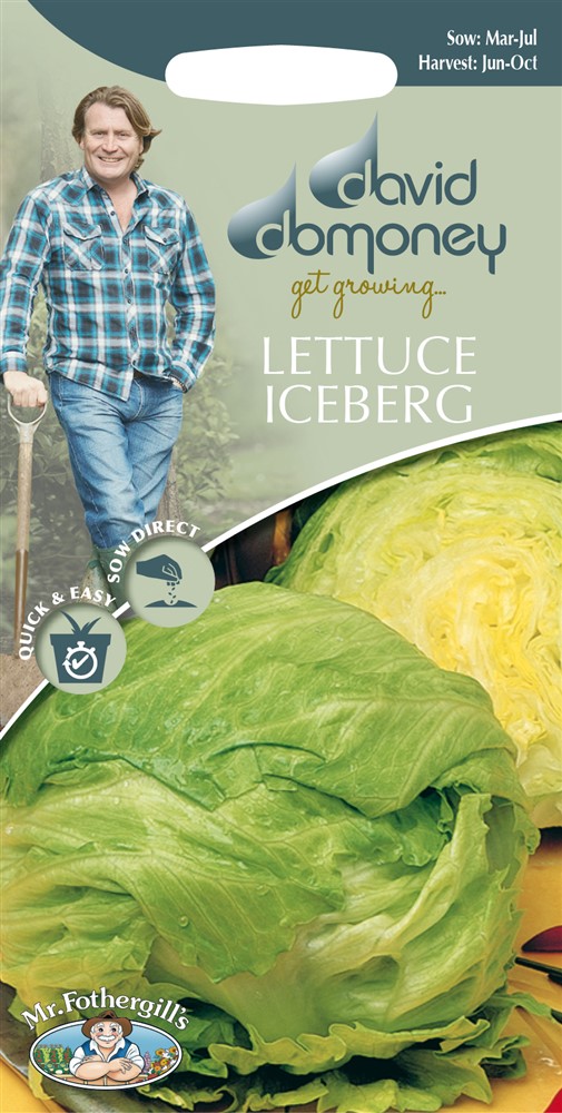DD Lettuce Iceberg