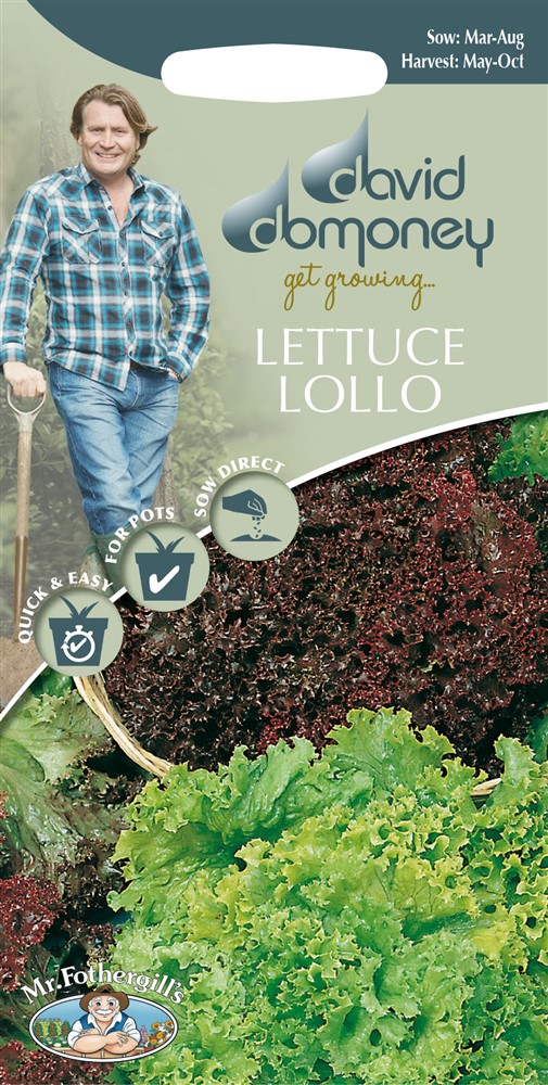 DD Lettuce Lollo