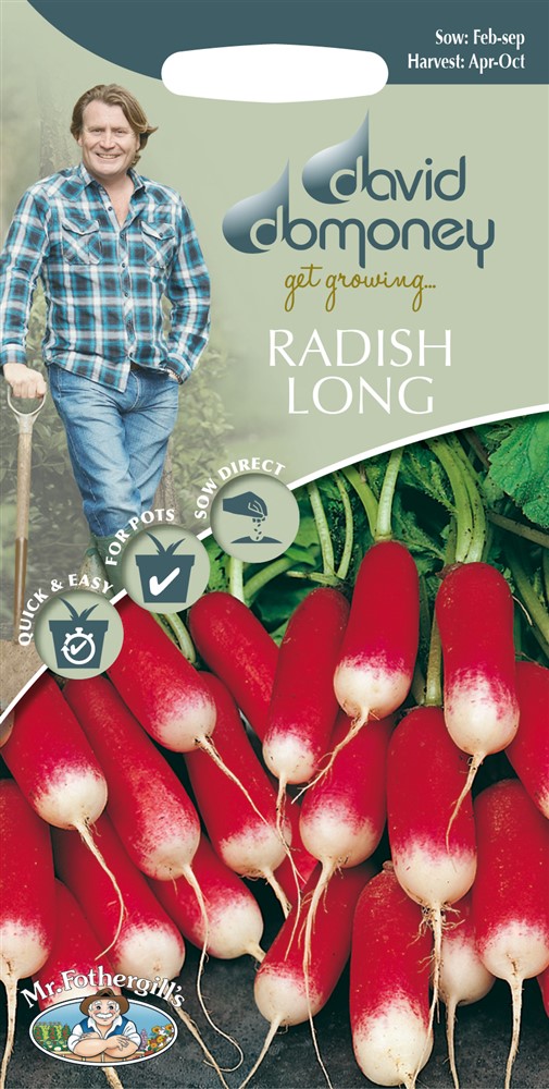 DD Radish Long