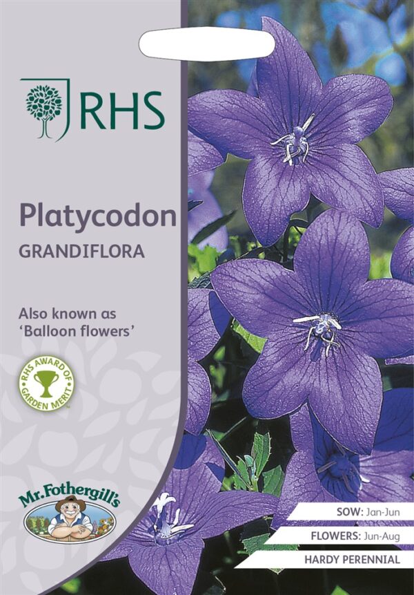 RHS Platycodon Grandiflo
